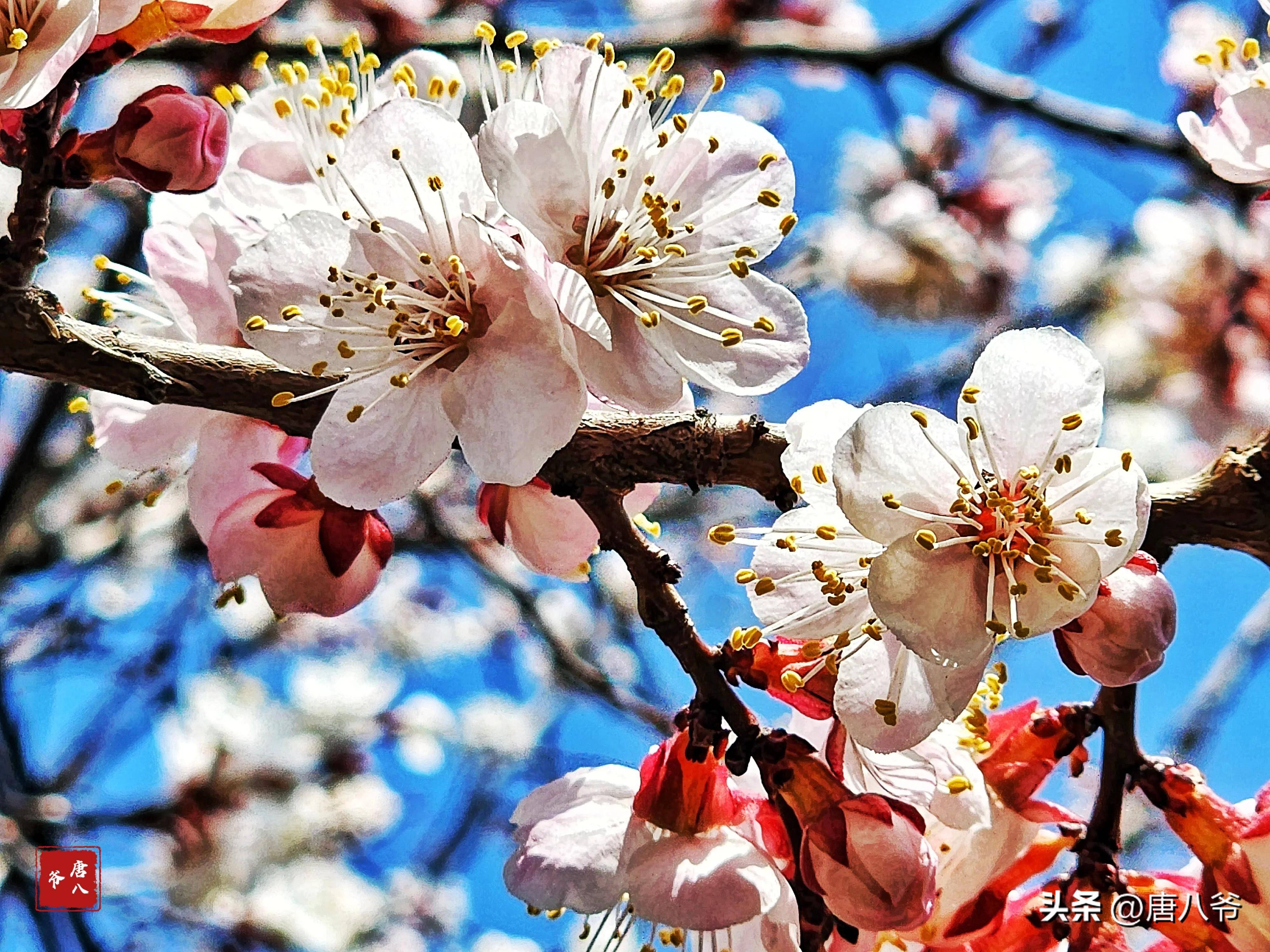 循化撒拉族自治县天气今日情况 循化撒拉族自治县天气今日情况