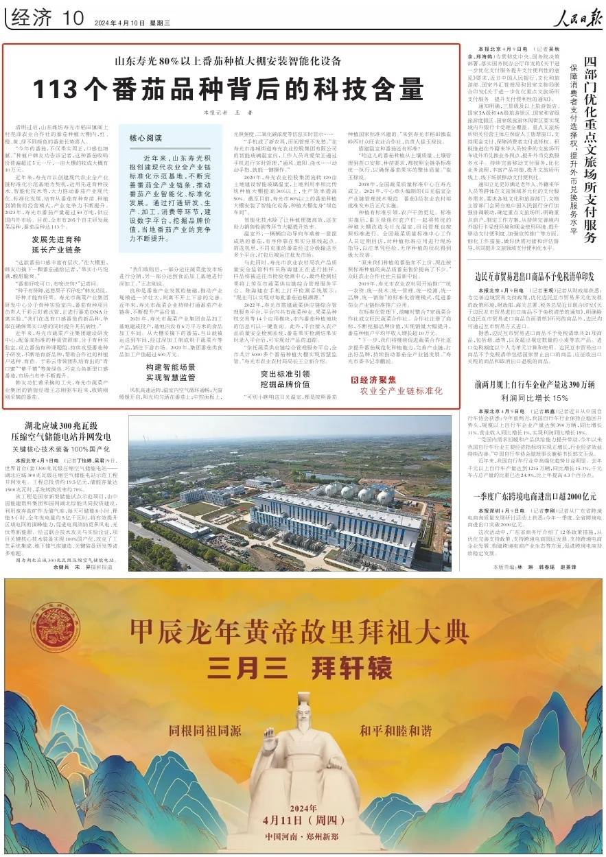 人民日报记者走进潍坊寿光市探寻113个番茄品种背后的科技含量