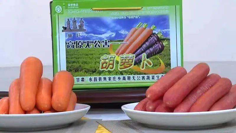 金昌特产品味一方水土的独特韵味