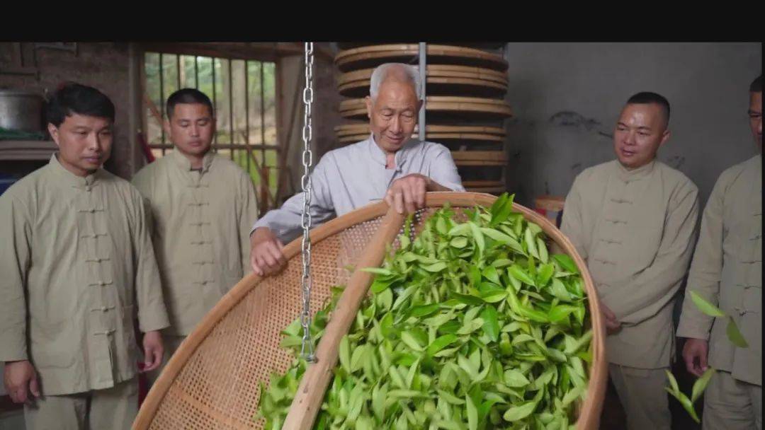 漳平市举办2024年漳平水仙茶开采节