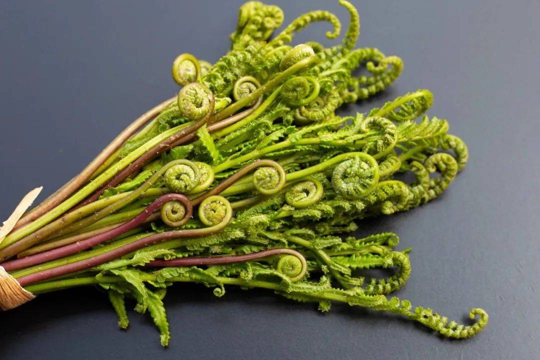 美味_拳头_野菜