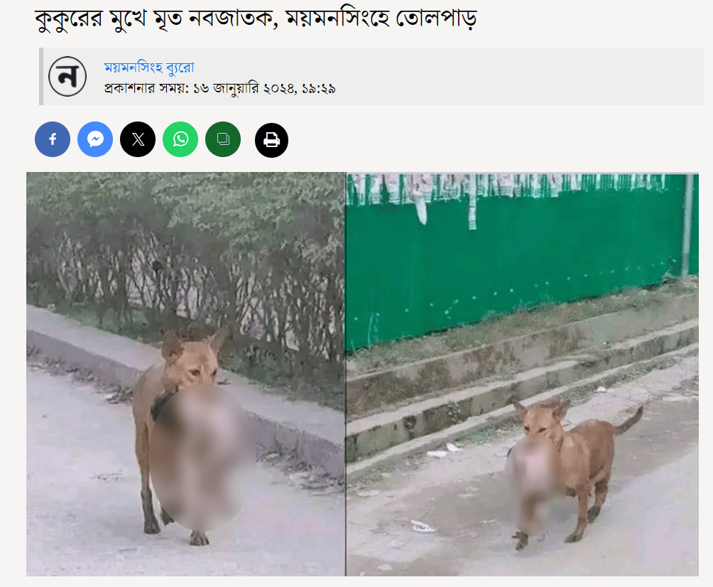 明查加沙街头有野狗叼着婴儿尸体网传图片实际拍摄于孟加拉国