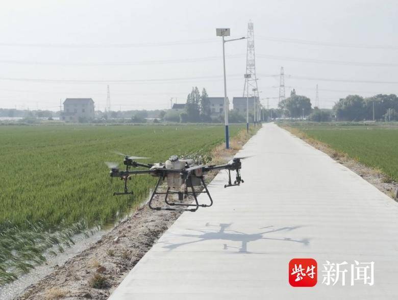 擦亮面子做实里子常熟市支塘镇窑镇村开展村庄清洁活动