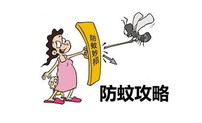 【健康北岸】登革热进入高发期,这些预防小贴士请收好!