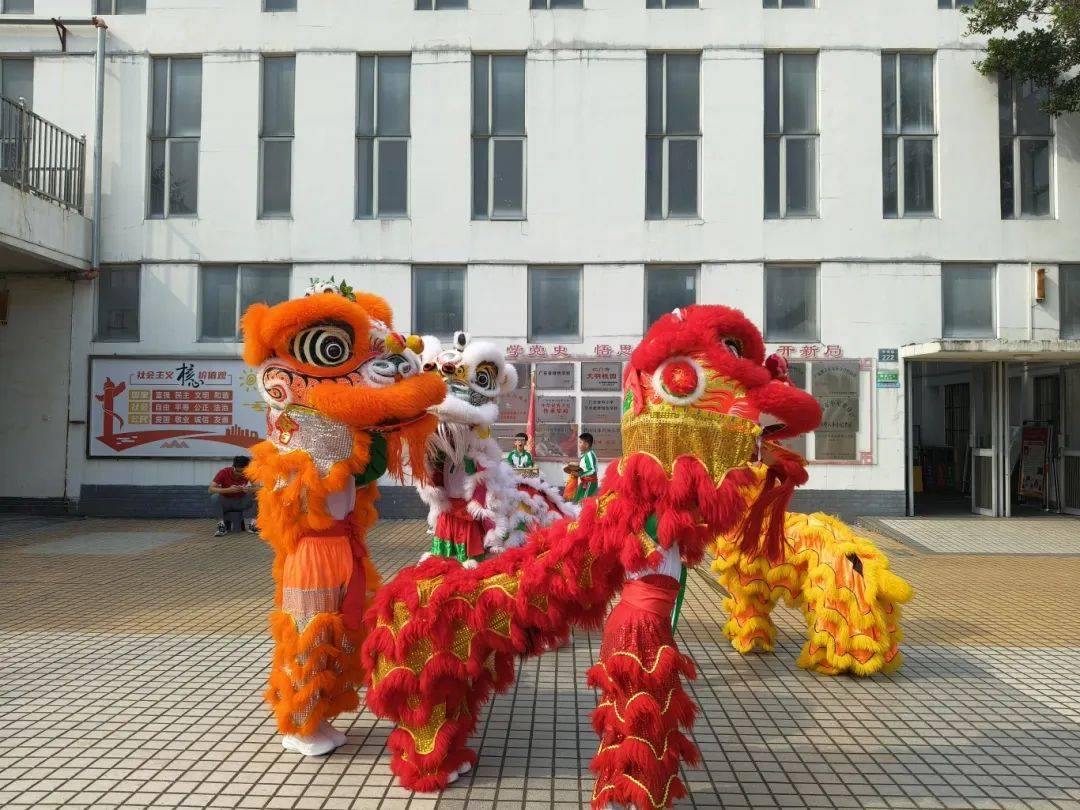 厉害了鹤山小醒狮港澳秀技艺他们来自这所学校