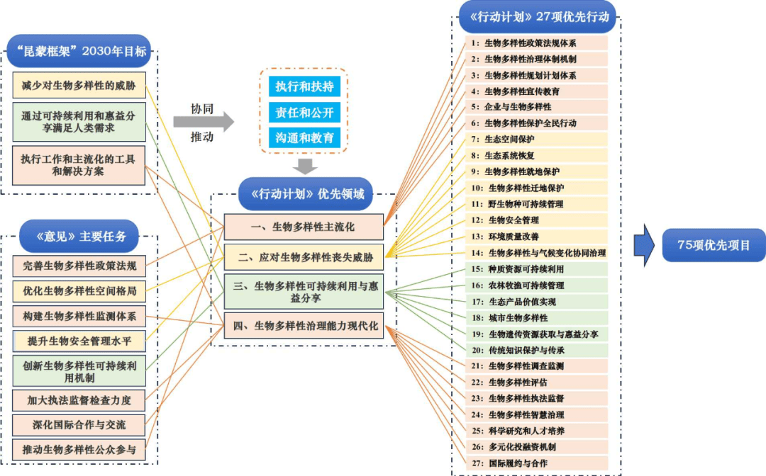 专家解读 | 全面提升生物多样性治理水平 切实支撑人与自然和谐共生的现代化建设_保护_中国_目标