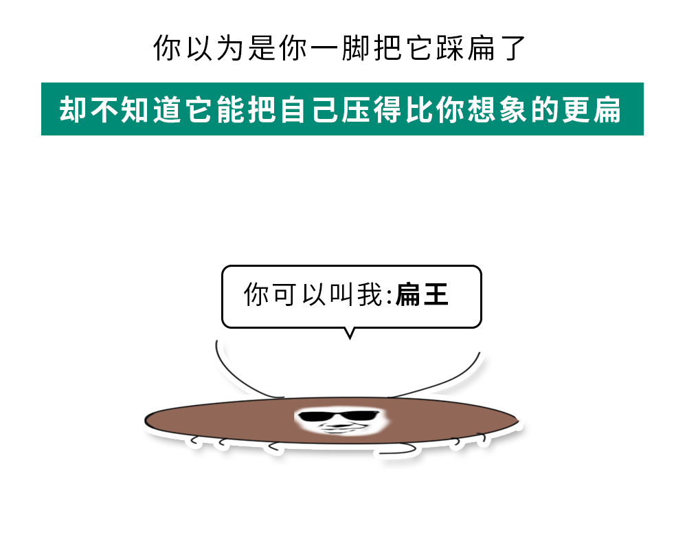 家里踩死的蟑螂为什么第二天突然消失了