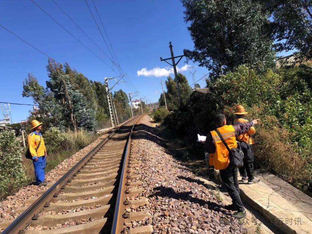 云南驿镇清除杂草危树隐患筑牢地路防火墙