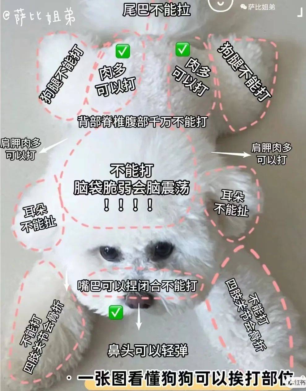 (顶锅盖逃走~)end编辑 |  曾俊莉审核 |  卢颖珊,方富荣免责声明:本文