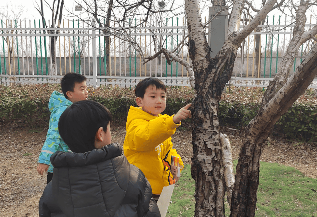 5年多的办学历程,一外附幼的"活·宜"教育追随幼儿的能力,兴趣和经验