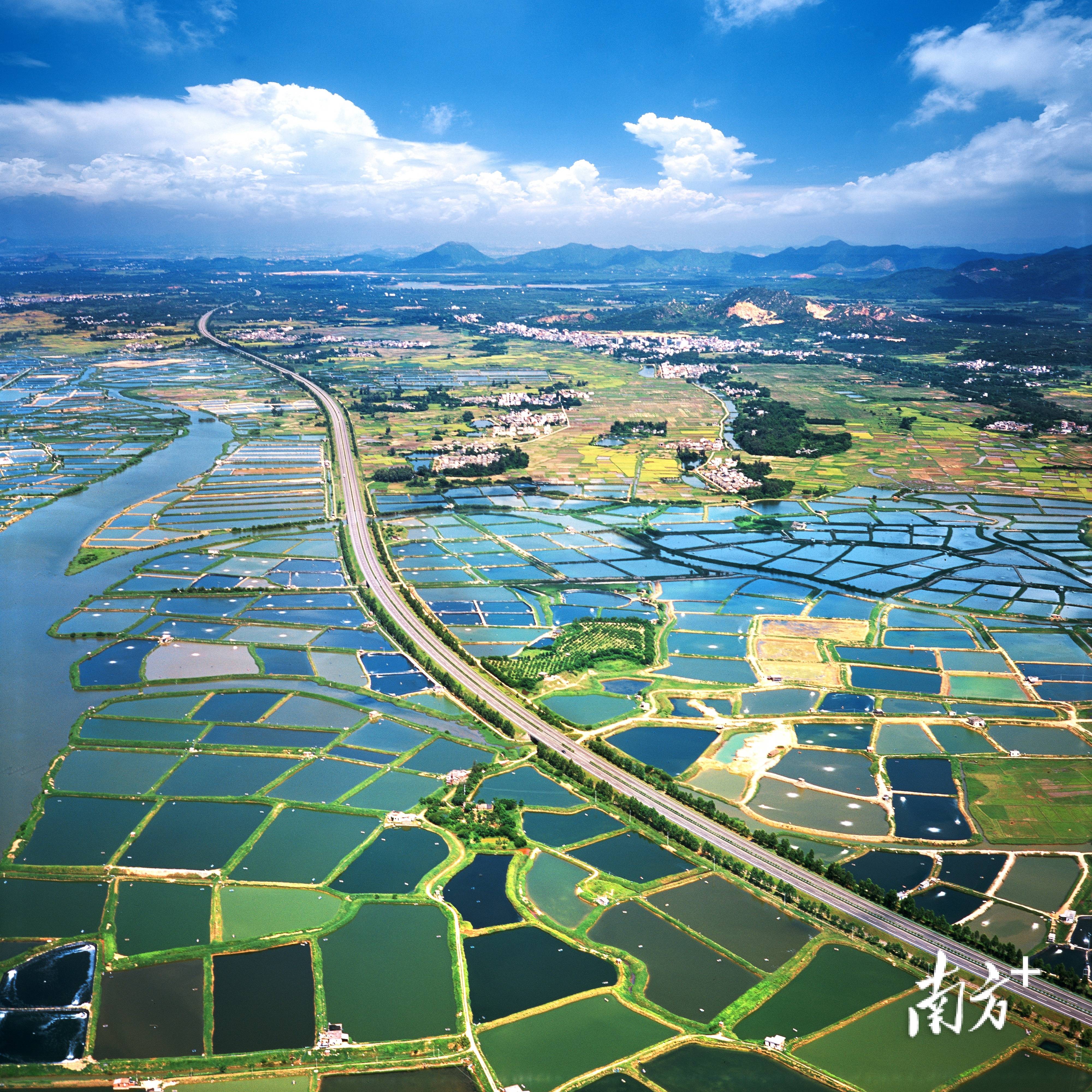 企业为阳东速度点赞多部门合力通办15天内赢得申报截点