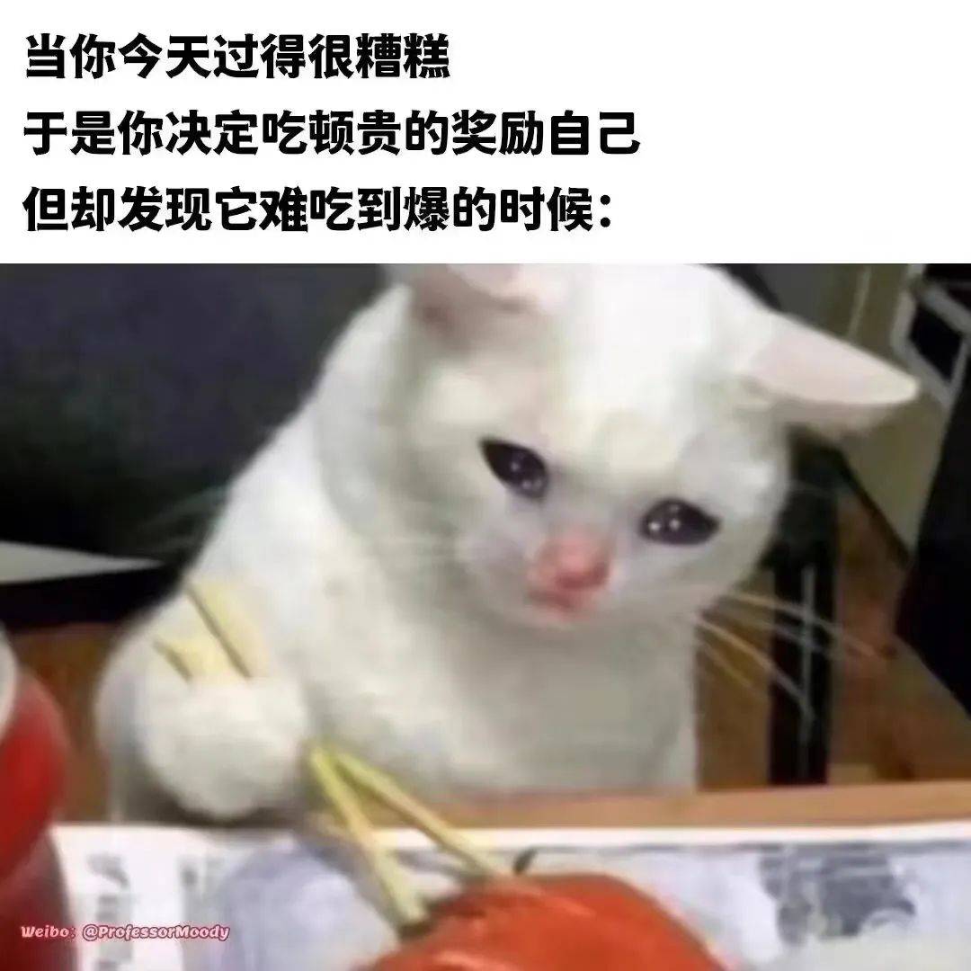 生活nus食堂锅包肉避雷吐槽征集