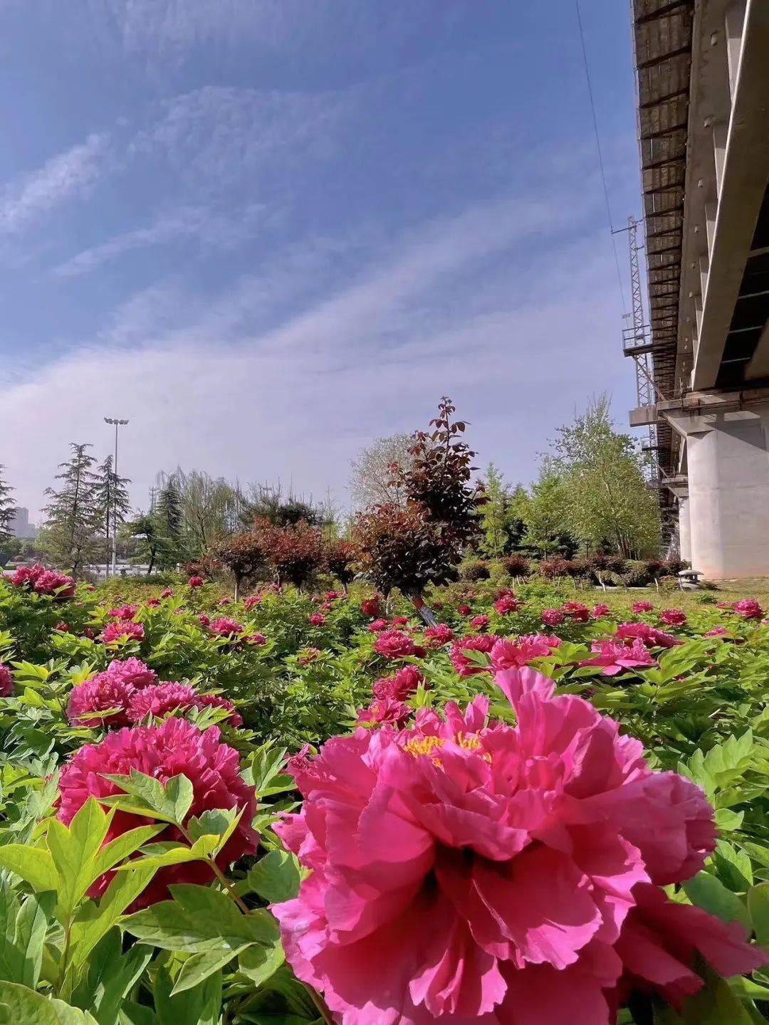 试过了在秦都公园20分钟效应是真的