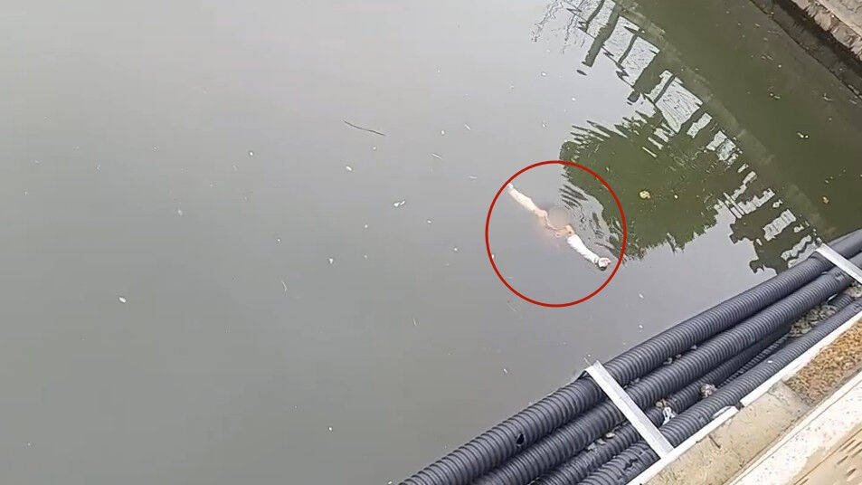 浙江有礼 瓯越先行 | 女孩轻生命悬一线!他们奋不顾身跳河营救