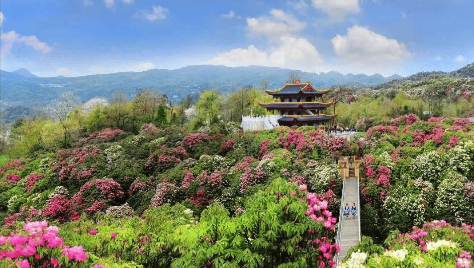 贵银旅图贵州银行助推贵州旅游业提质增效