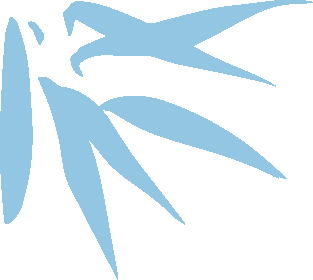 译林艺文讲坛第八期苏童短篇小说一些元素