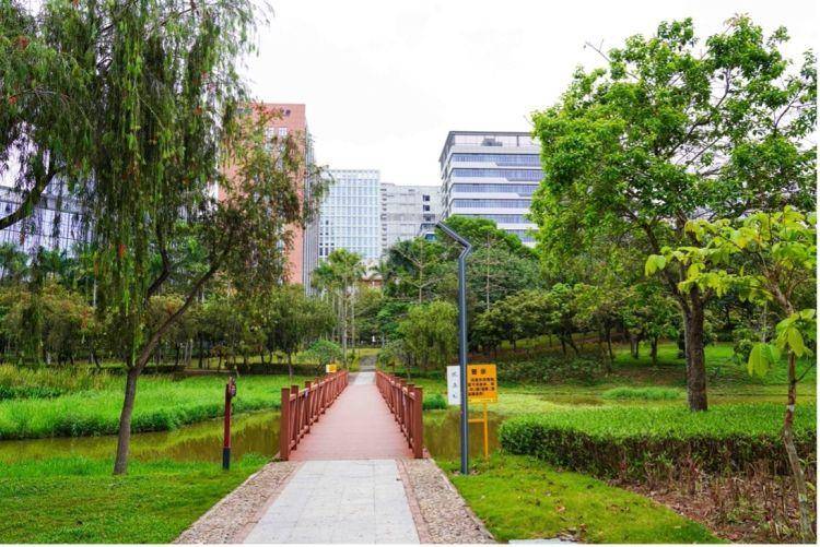 坑梓你来打卡人间最美四月天踏青赏花正当时