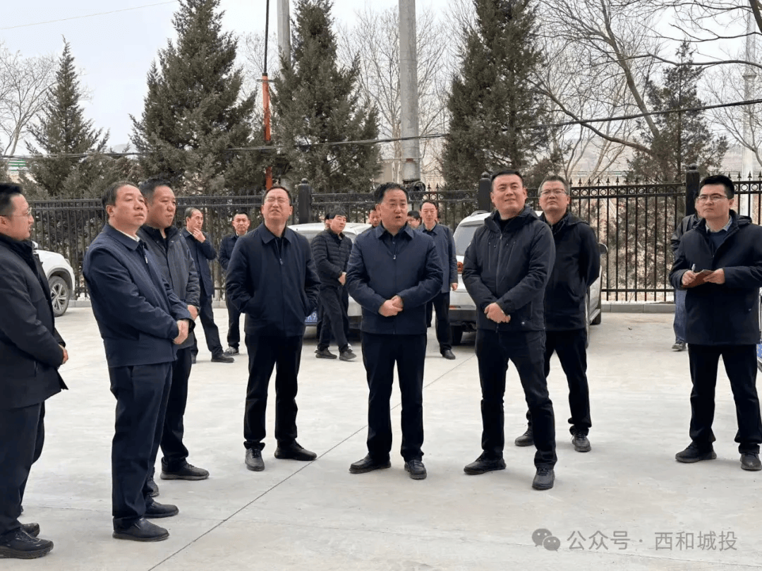 聚焦重点强措施靶向发力促落实西和县高效推进生态及地质灾害避险搬迁