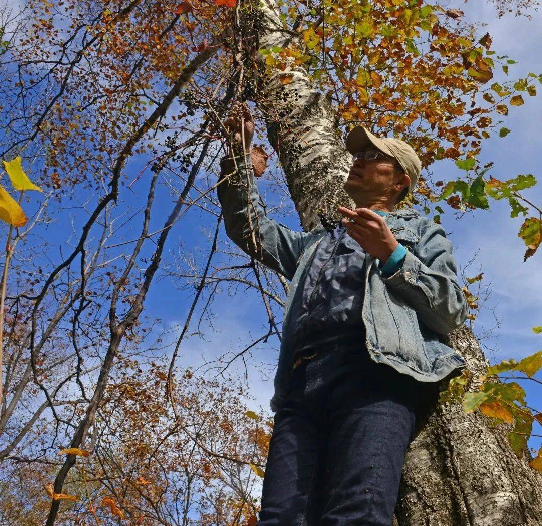 超市61第762期┃到东北去看花从青山草木到博物生存主讲人刘华杰