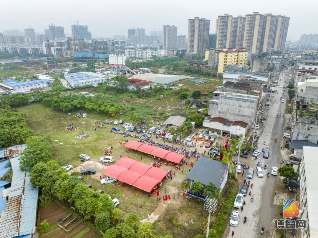 保护墓园园林绿化建设,4月11日上午,博白黄氏宗亲在县城大窝氹江夏