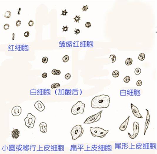 来自搜狐网