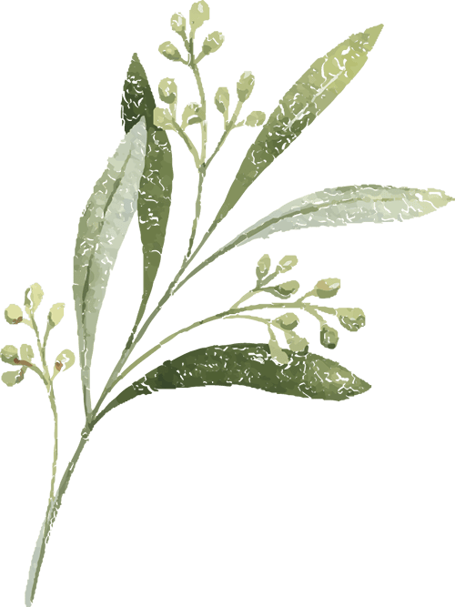 672024年第16期关注温馨课堂提升核心素养一年级家长开放日