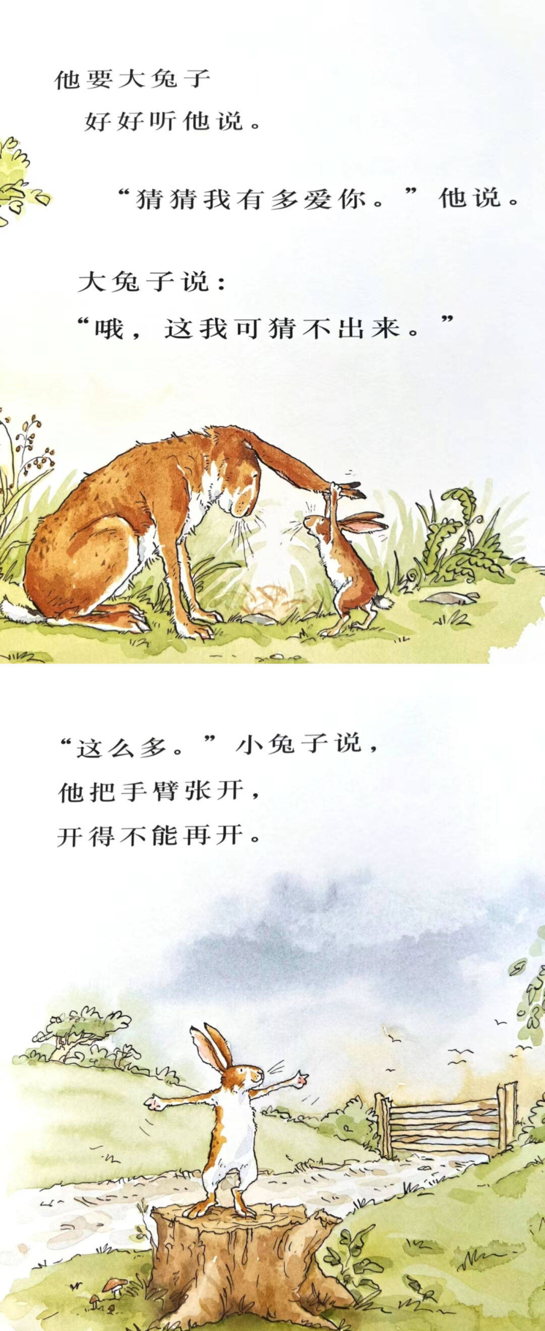 睡眠小精灵|第17期故事——《猜猜我有多爱你》