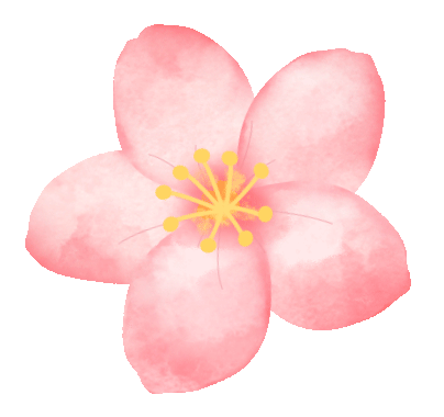 4月19日 共"复"桃花之约_瓦房店市_文化_复州城镇