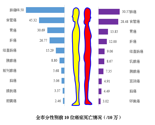 皮肤癌的死亡率是多少图片