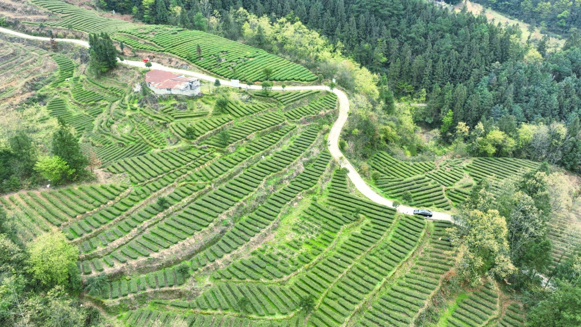 贵州务川首富图片