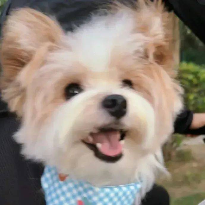 真人情头i适合和对象用的头像