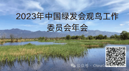 4月13日直播:2023年中国绿发会观鸟工作委员会年会
