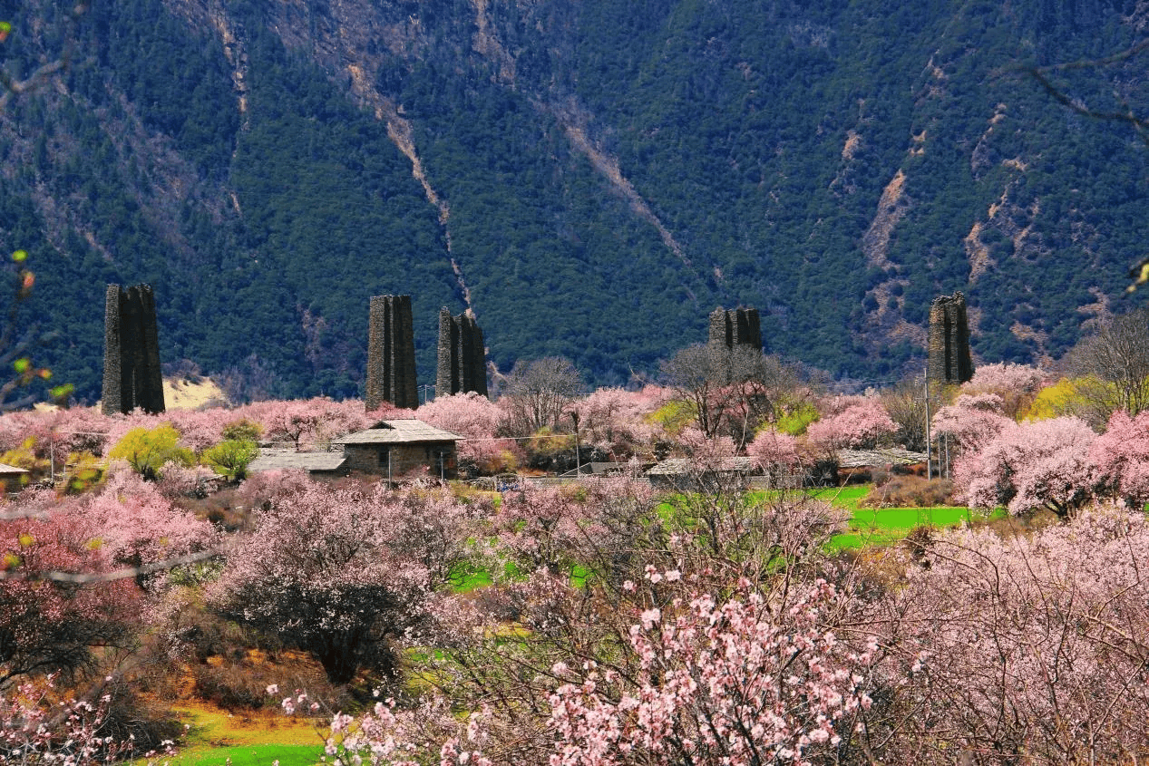 四季如画工布江达等你来