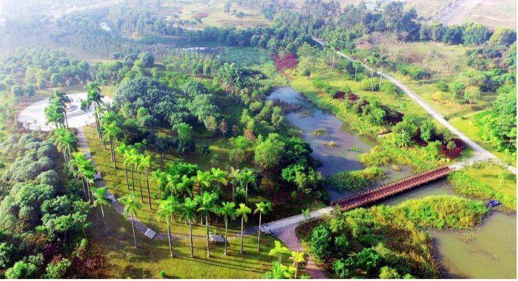 坑梓你来打卡人间最美四月天踏青赏花正当时