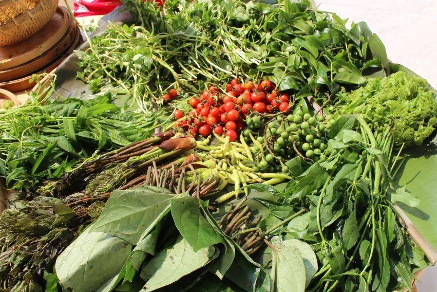 的香菜,山坡上的蕨菜,山林间的火镰菜,还有树头菜,白花,折耳根,芦子叶