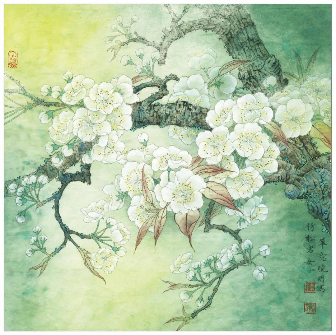 一起学画工笔梨花小品