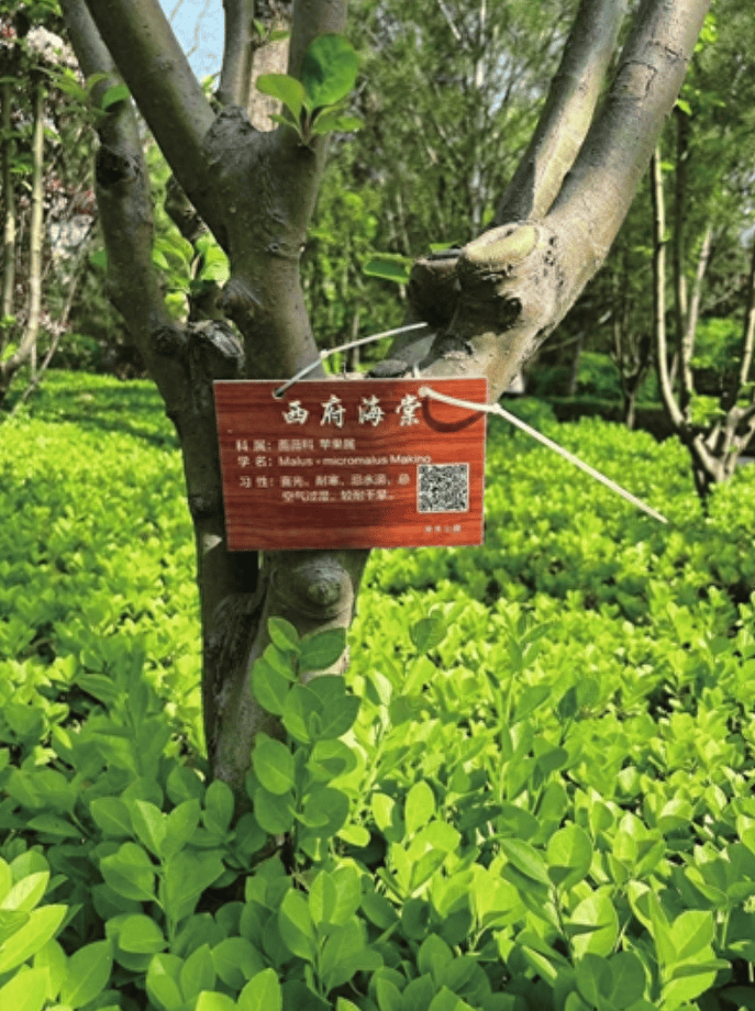 太原植物佩戴身份证赏花观叶更轻松