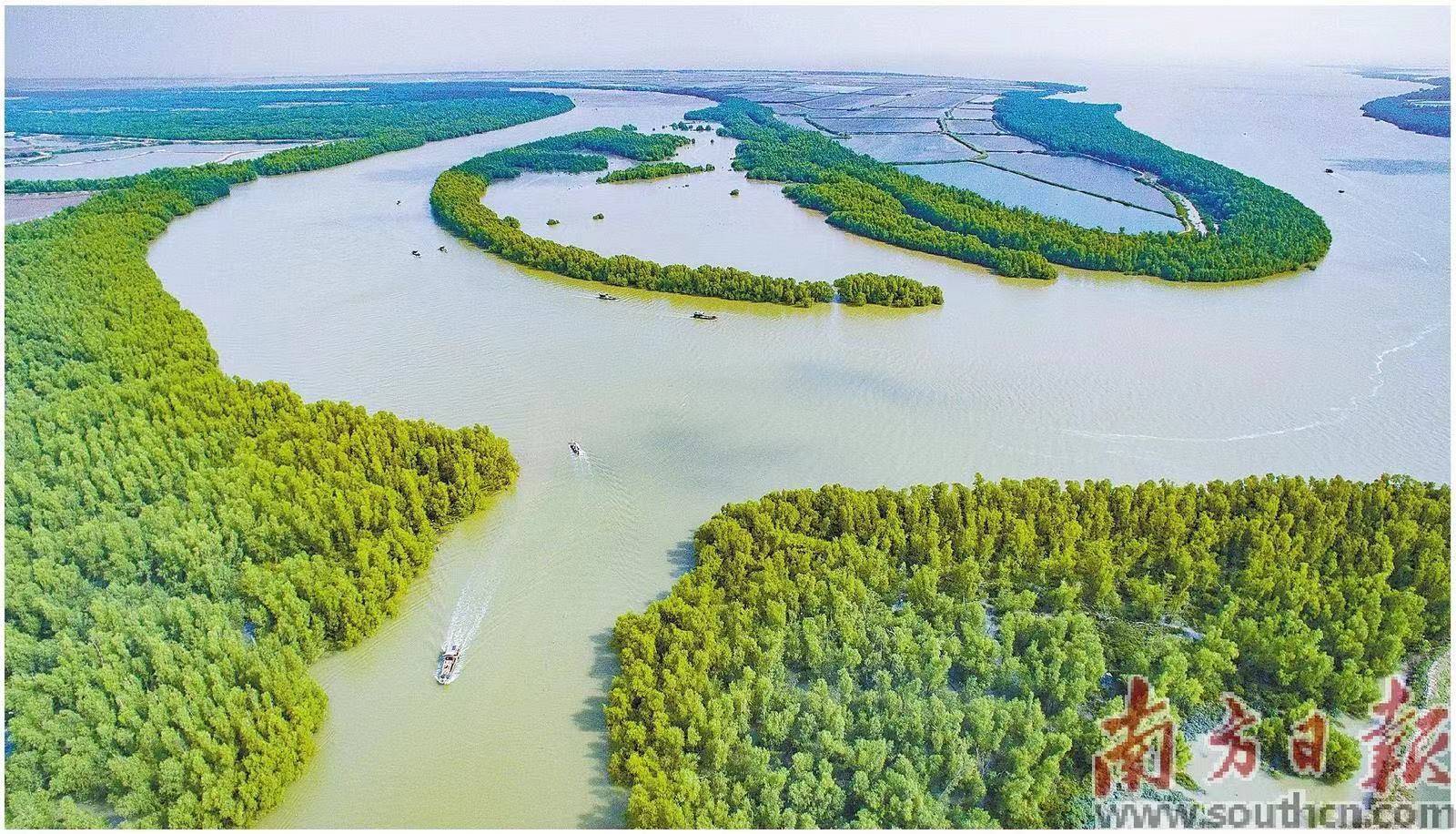 全民扩绿兴绿护绿拓展点绿成金路