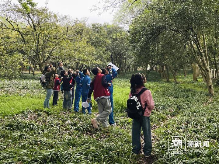 嘘别说话杭州植物园里这群人为什么静悄悄