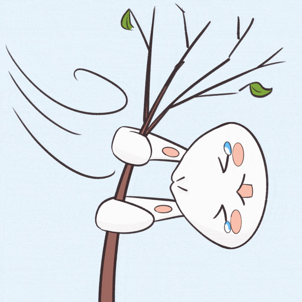 今明两天西南大风继续,注意防火防风