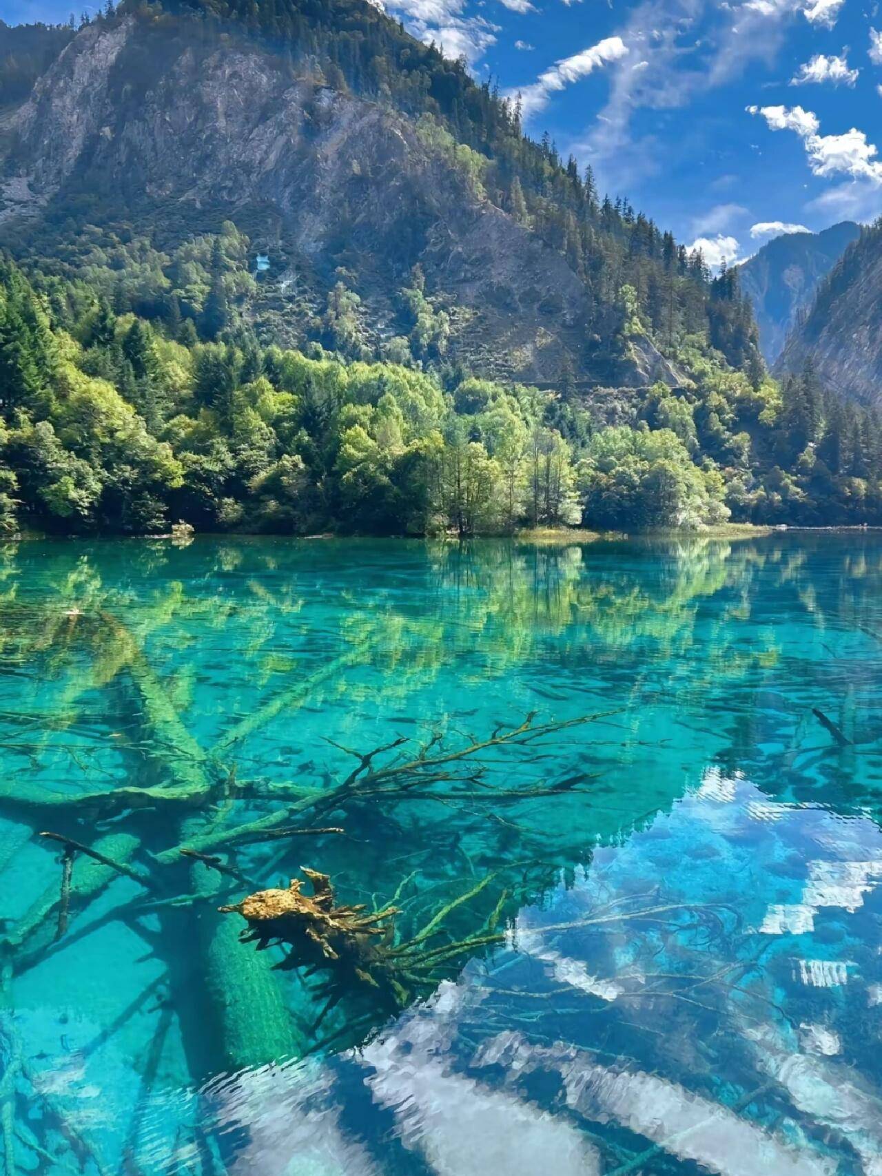 四川旅游景点大全排行榜最新 ,99%的人都不知道的超全旅游攻略_娜娜_