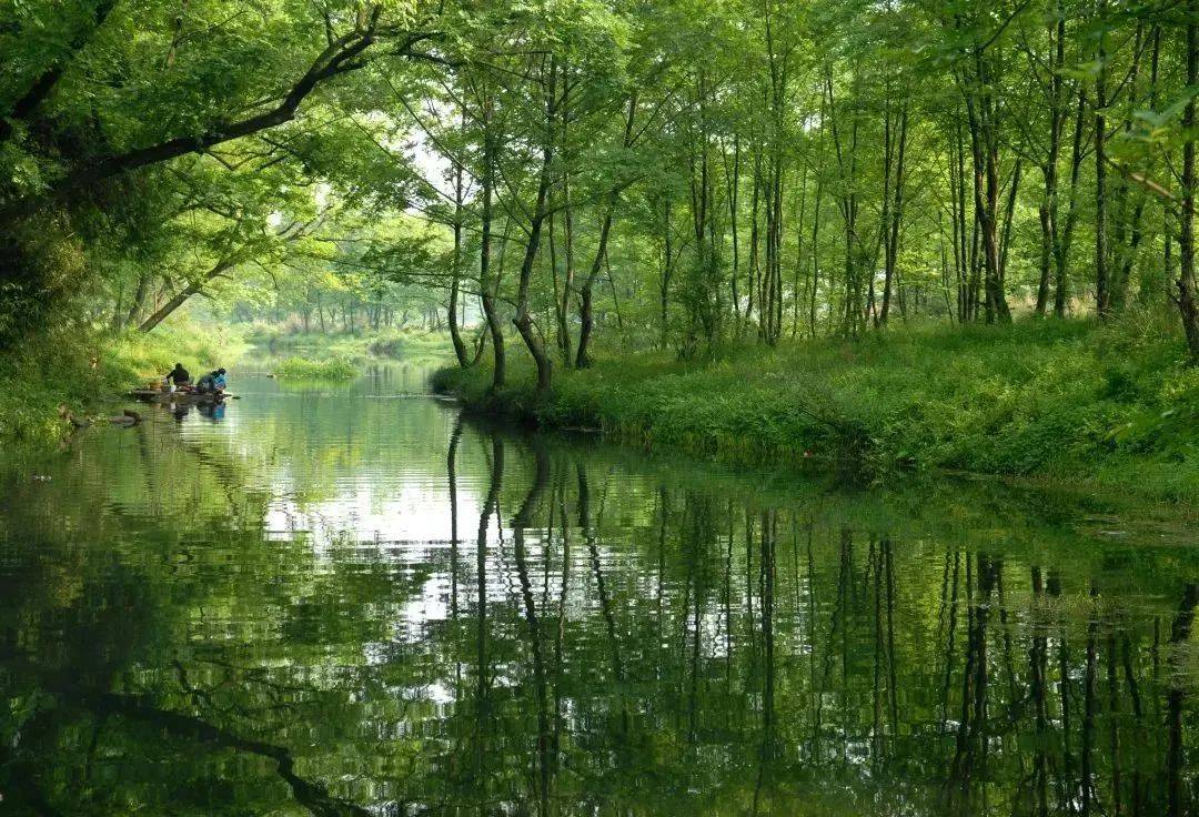 春游丽水:在丽水公园的20分钟