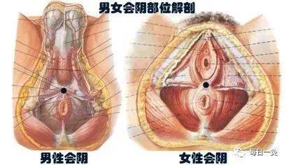 阴毒，你到底害苦了多少女人 !艾灸会阴穴的神奇功效 !