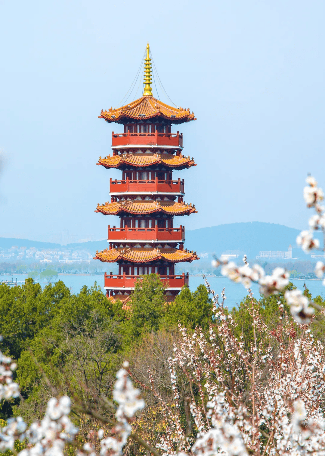 徐州位居第四网红城市潜力榜发布