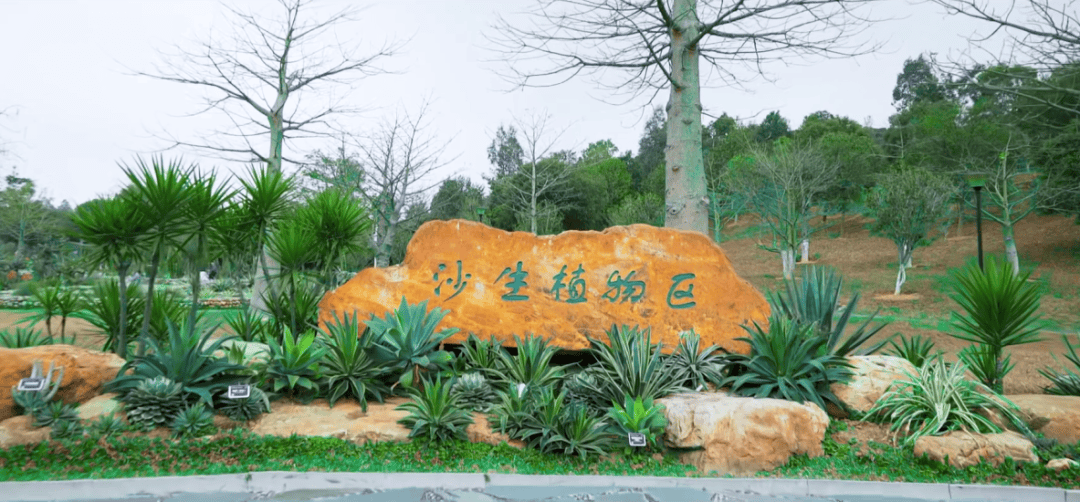 拿好这份赏花吸氧「邀请函」_植物园_东莞_园区