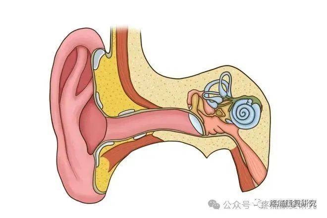 有一种眩晕叫耳石症,可从4个方面来鉴别