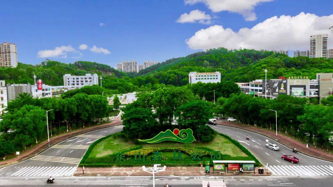 县城东山森林公园感受"绿"镜下的山清水秀徒步追绿山水相融的罗阳风光