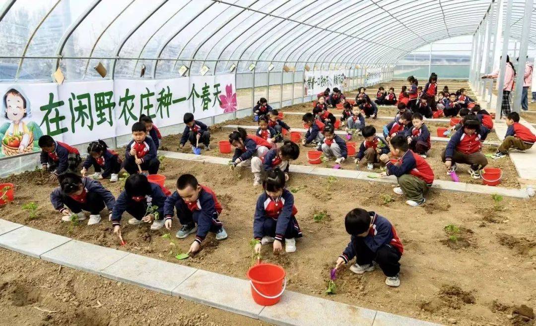 赴春日之约享研学之乐高阳县宏润幼儿园开展我在斗