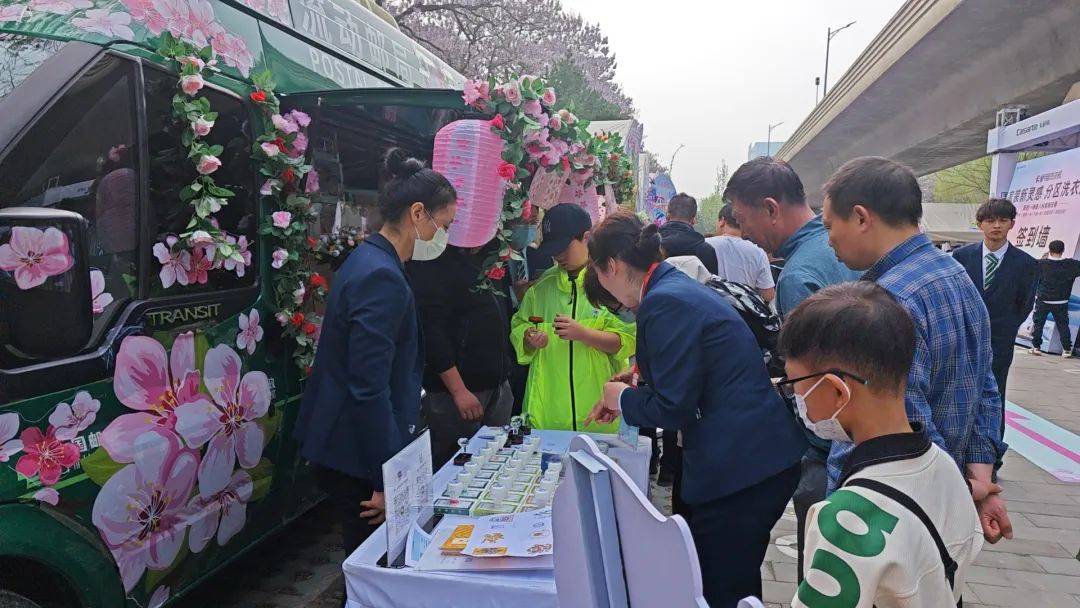 浪漫花朝一起共赏2024北京亦庄泡桐花节启幕