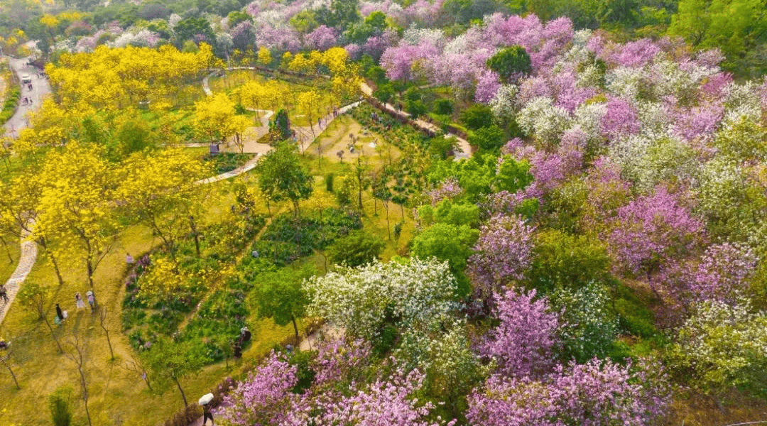 出发踏青 佛山这些地方